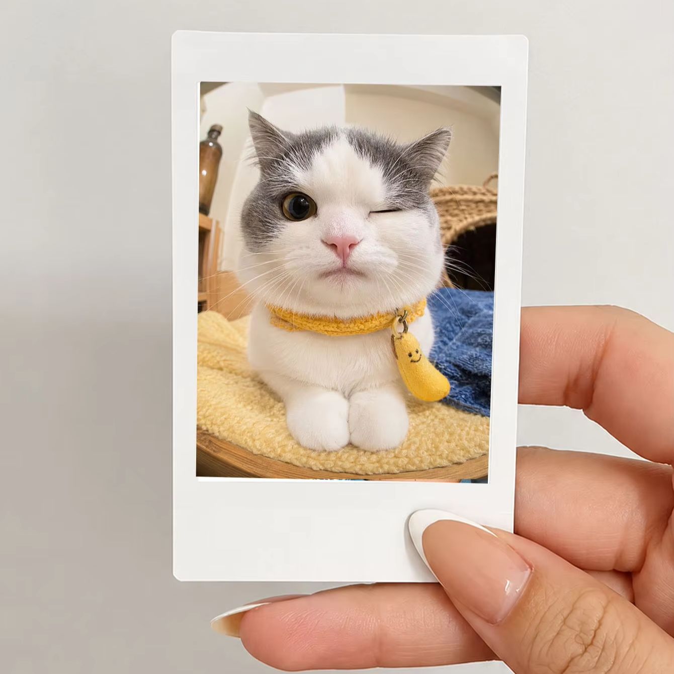 1/3/5 Adet Özel Fotoğraf Baskı - Photographic Memory incelemesi ve fiyatı